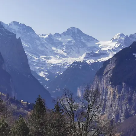 Arven 1 * Wengen