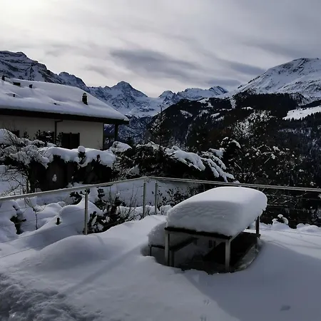 Arven 1 Wengen