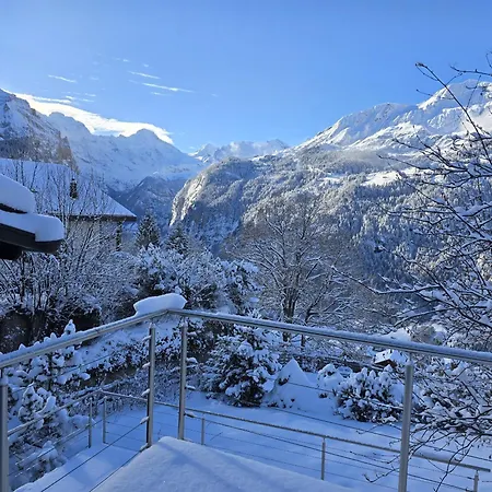 Arven 1 Apartamento Wengen